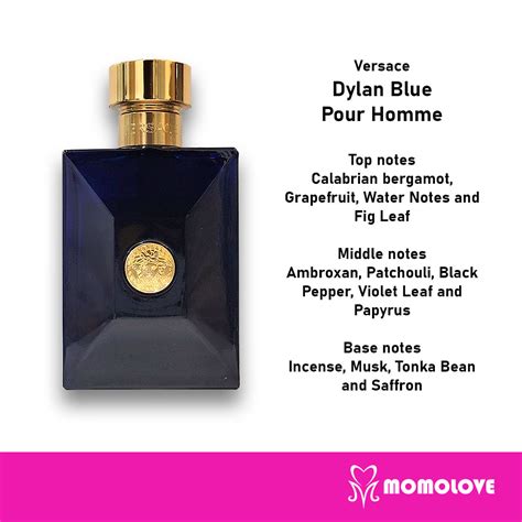 is versace dylan blue good|versace dylan blue top notes.